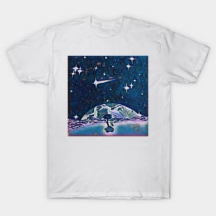 Midnight Shine T-Shirt